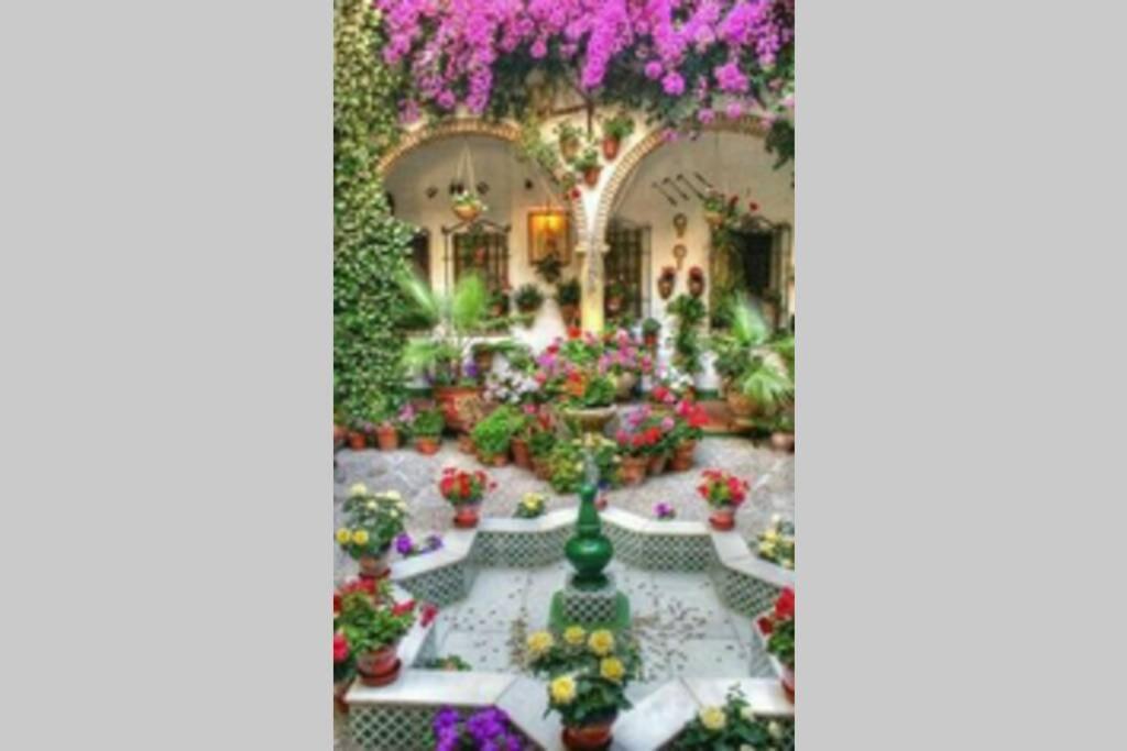 Corredera House. Pleno Centro De Cordoba Διαμέρισμα Εξωτερικό φωτογραφία