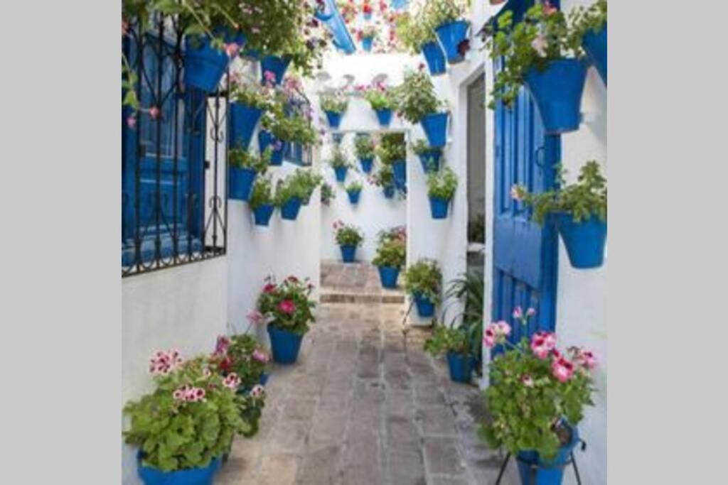 Corredera House. Pleno Centro De Cordoba Διαμέρισμα Εξωτερικό φωτογραφία